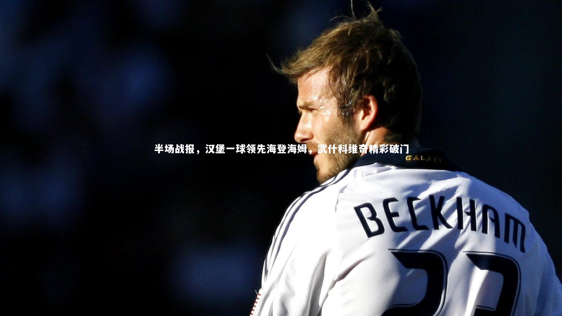 球王会体育官网|半场战报，汉堡一球领先海登海姆，武什科维奇精彩破门