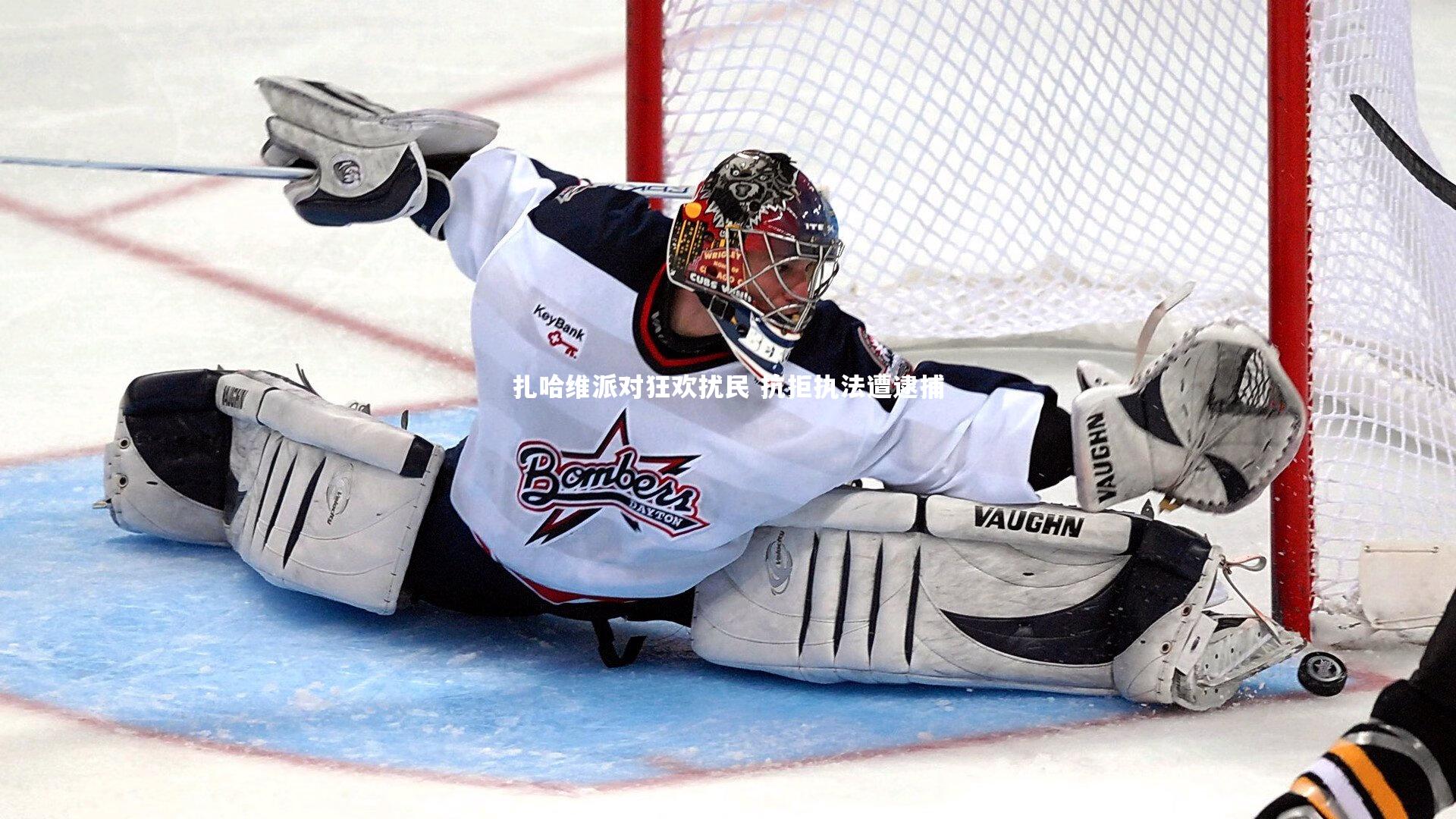 扎哈维派对狂欢扰民 抗拒执法遭逮捕